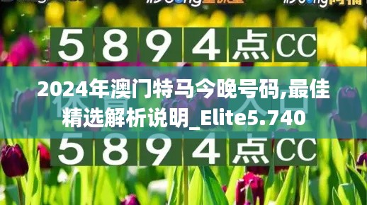2024年澳门特马今晚号码,最佳精选解析说明_Elite5.740