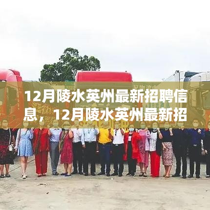 12月陵水英州最新招聘信息详解与全面评测