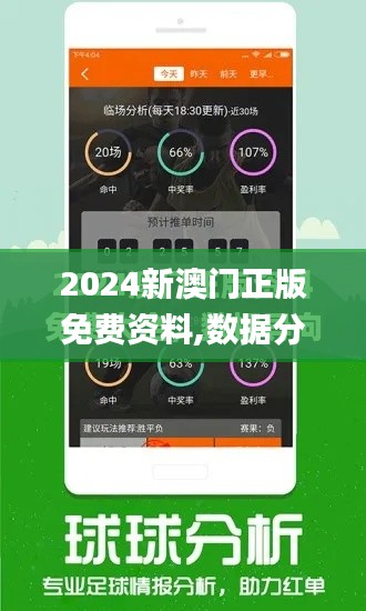2024新澳门正版免费资料,数据分析驱动解析_工具版3.384