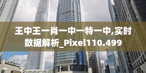 王中王一肖一中一特一中,实时数据解析_Pixel110.499