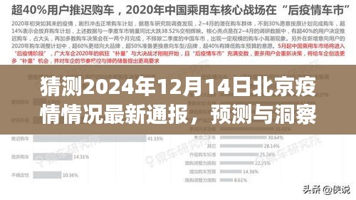 北京疫情未来走向预测与洞察，2024年疫情最新通报及探讨