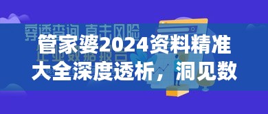 管家婆2024资料精准大全深度透析，洞见数字化时代的高效工具