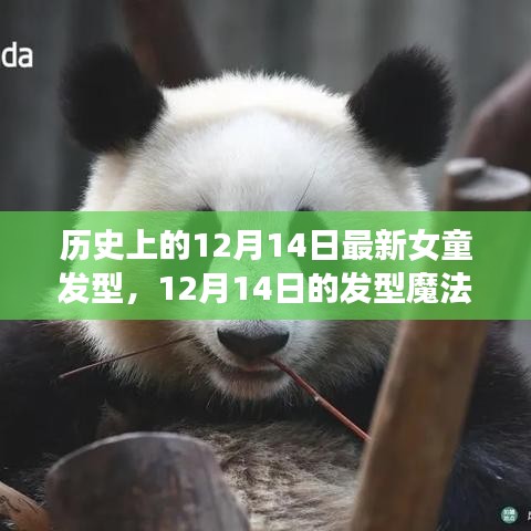 12月14日发型魔法，女童时尚之旅与友情之光的闪耀