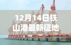 铁山港最新征地动态深度解析，12月14日征地要点探讨