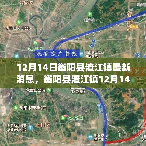 张皇铺饰 第3页