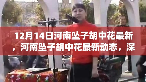 河南坠子胡中花最新动态，深度评测与介绍