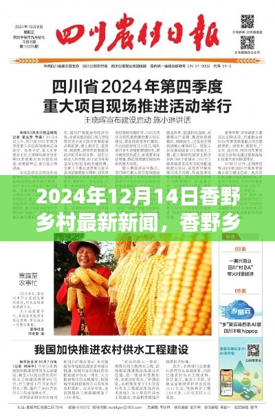 香野乡村新篇章，2024年12月14日最新新闻概览