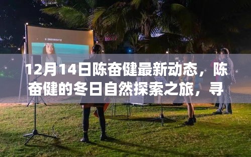 陈奋健的冬日探索之旅，寻找自然魔法与内心宁静的时刻