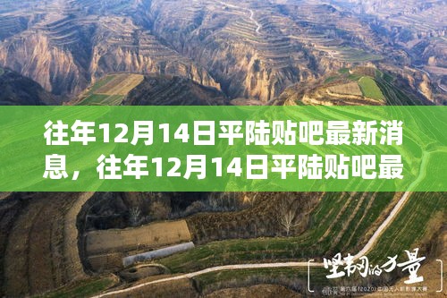 往年12月14日平陆贴吧最新消息全攻略，教你成为消息达人