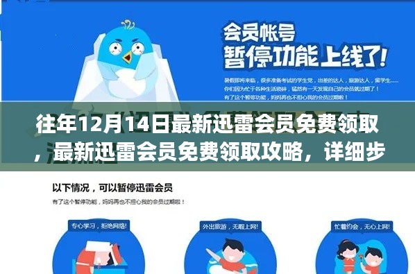 最新迅雷会员免费领取攻略，详细步骤指南，适用于初学者与进阶用户