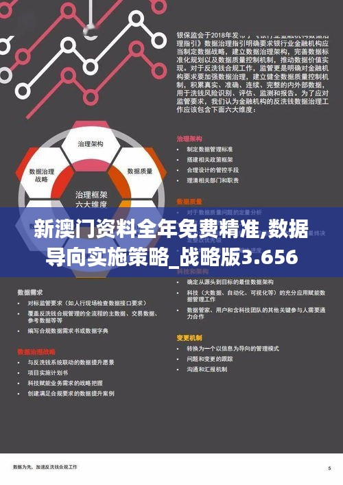 新澳门资料全年免费精准,数据导向实施策略_战略版3.656