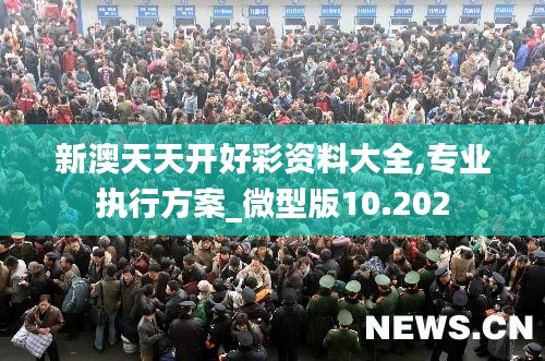 新澳天天开好彩资料大全,专业执行方案_微型版10.202