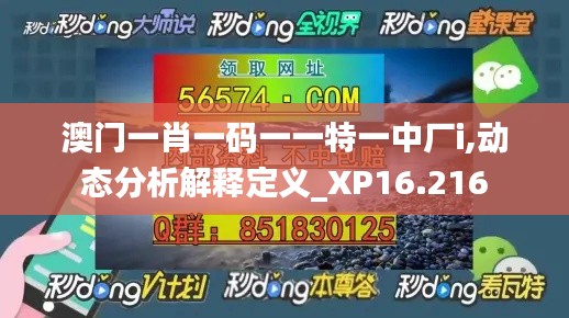 澳门一肖一码一一特一中厂i,动态分析解释定义_XP16.216