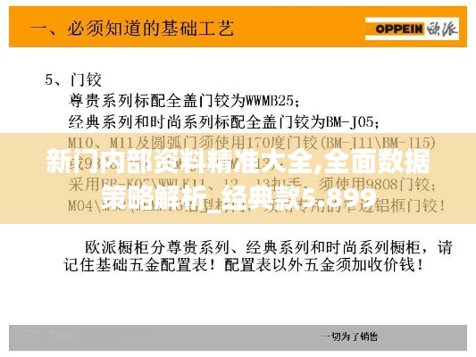 新门内部资料精准大全,全面数据策略解析_经典款5.899