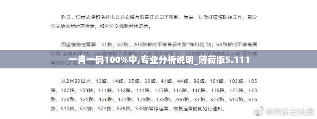 一肖一码100%中,专业分析说明_薄荷版5.111