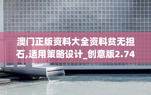 澳门正版资料大全资料贫无担石,适用策略设计_创意版2.746