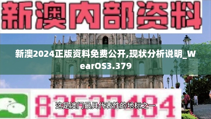 新澳2024正版资料免费公开,现状分析说明_WearOS3.379