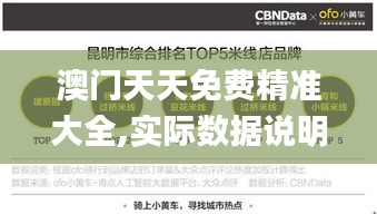 澳门天天免费精准大全,实际数据说明_网红版10.216