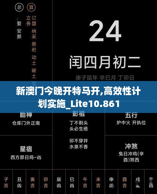 新澳门今晚开特马开,高效性计划实施_Lite10.861
