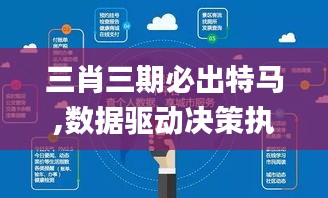 三肖三期必出特马,数据驱动决策执行_V版2.860