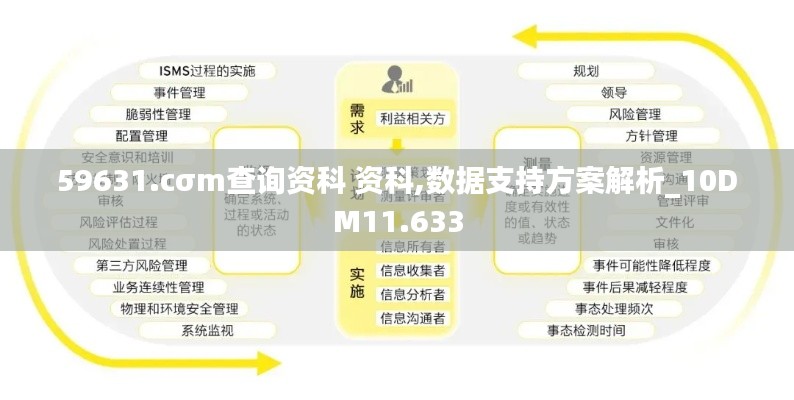 59631.cσm查询资科 资科,数据支持方案解析_10DM11.633