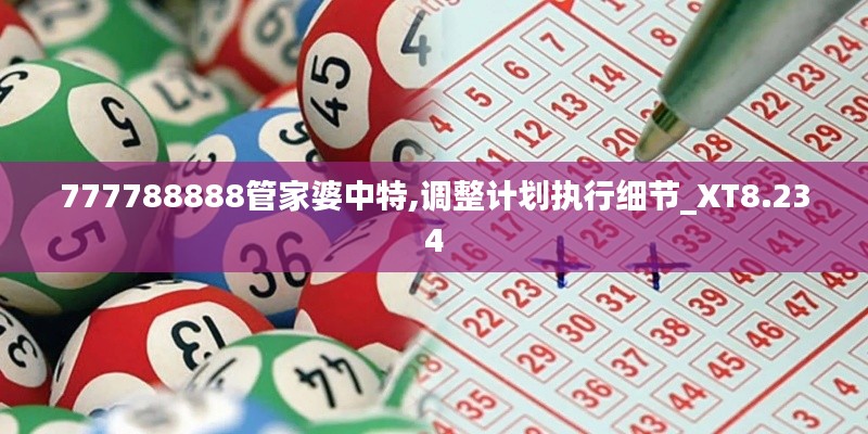 777788888管家婆中特,调整计划执行细节_XT8.234