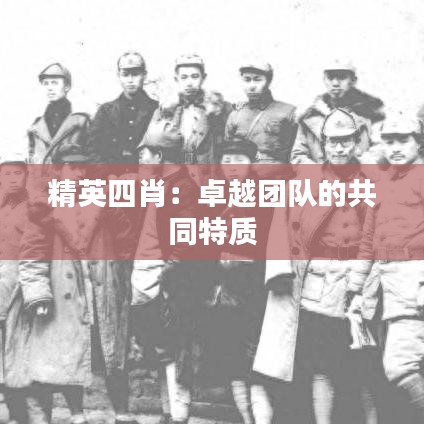 精英四肖：卓越团队的共同特质