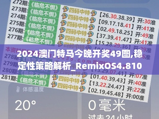 2024澳门特马今晚开奖49图,稳定性策略解析_RemixOS4.810