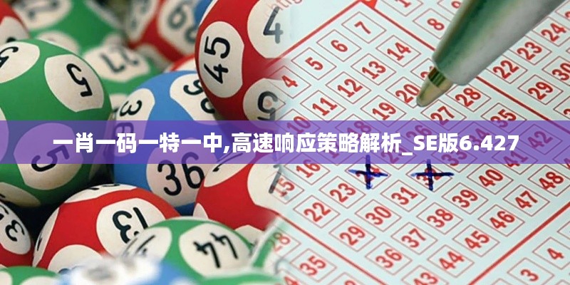 支付方式说明 第148页