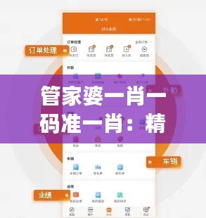 管家婆一肖一码准一肖：精准分析的市场领航
