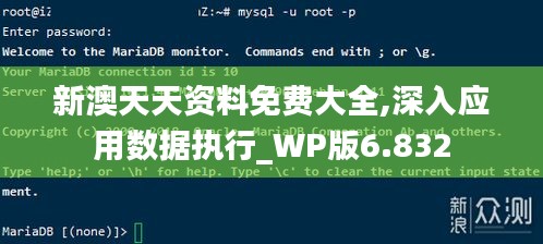 新澳天天资料免费大全,深入应用数据执行_WP版6.832
