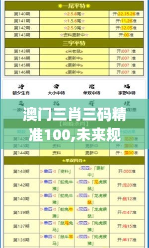 澳门三肖三码精准100,未来规划解析说明_粉丝版2.566