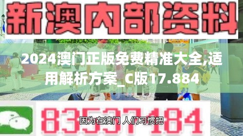 2024澳门正版免费精准大全,适用解析方案_C版17.884