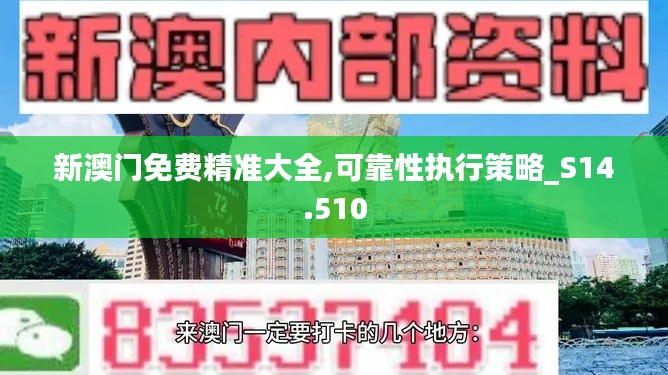 新澳门免费精准大全,可靠性执行策略_S14.510