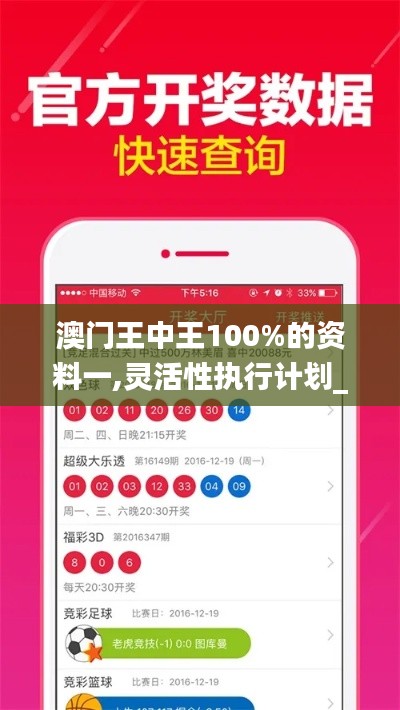 澳门王中王100%的资料一,灵活性执行计划_AR版10.179