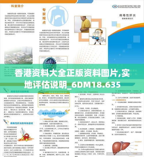 香港资料大全正版资料图片,实地评估说明_6DM18.635