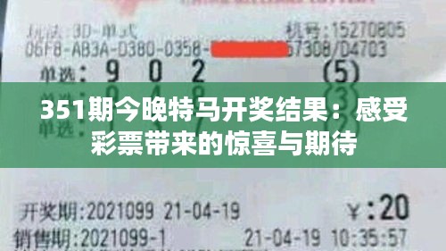 351期今晚特马开奖结果：感受彩票带来的惊喜与期待