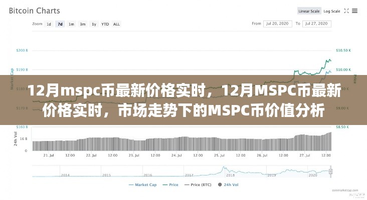 12月MSPC币最新价格实时与价值分析，市场走势下的深度探讨