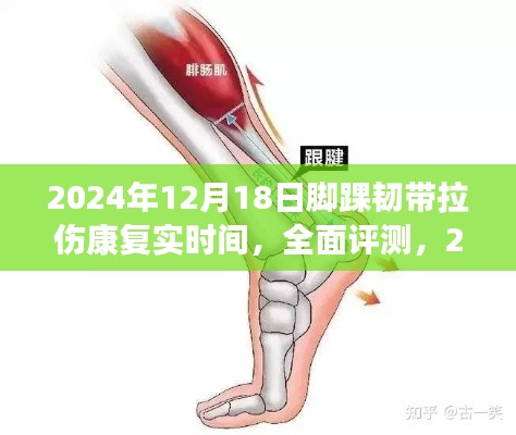 2024年脚踝韧带拉伤康复实战体验与全面评测，康复时间、竞品对比
