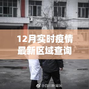 某某视角下的实时疫情区域查询表分析与探讨，12月最新动态