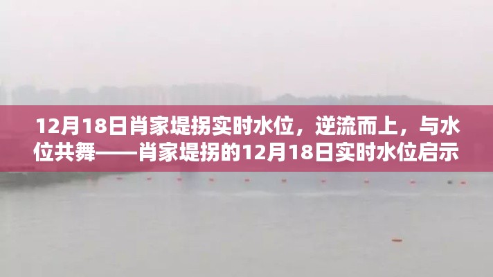 肖家堤拐实时水位观察，逆流中的启示录