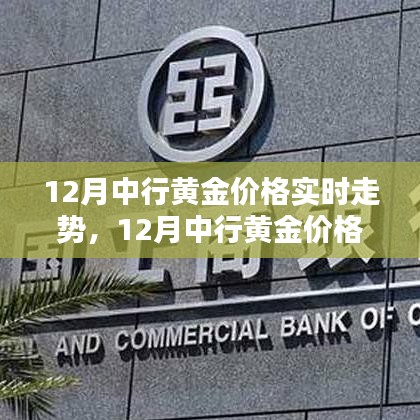 中行黄金价格实时走势分析与预测，深度解读十二月市场动态