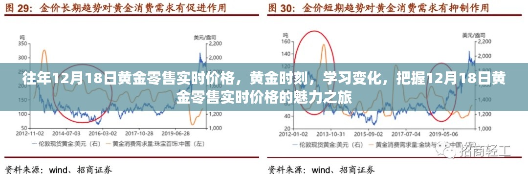 把握黄金时刻，揭秘黄金零售实时价格变化之旅（往年黄金市场深度解析）