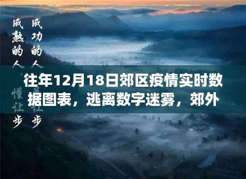 建议，揭秘郊区疫情实时数据，探寻美景心灵之旅——郊区疫情数据与旅行记实录 12月18日特别版