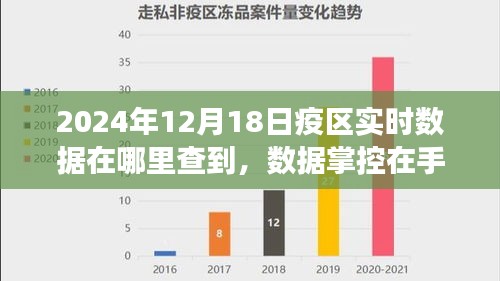 疫区实时数据追踪神器来袭，一键掌握疫情动态，数据在手无所遁形（2024年12月）