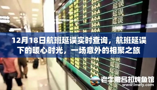 航班延误下的暖心时光，意外的相聚之旅实时查询报告