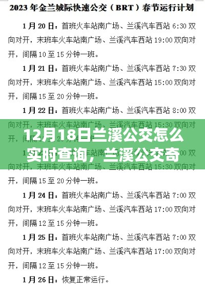 兰溪公交实时查询指南与爱的传递奇遇记