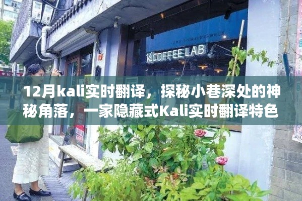 探秘隐藏小巷的Kali实时翻译特色小店，神秘角落的奇妙之旅