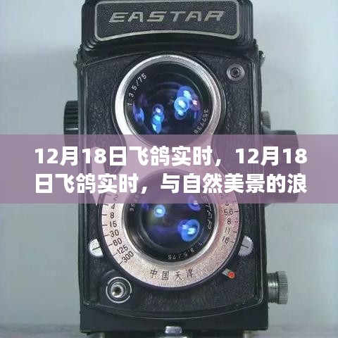 12月18日飞鸽实时，与自然美景的浪漫邂逅，内心平和之旅启程