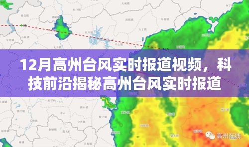 披肝沥胆 第4页